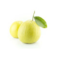 BERGAMOT