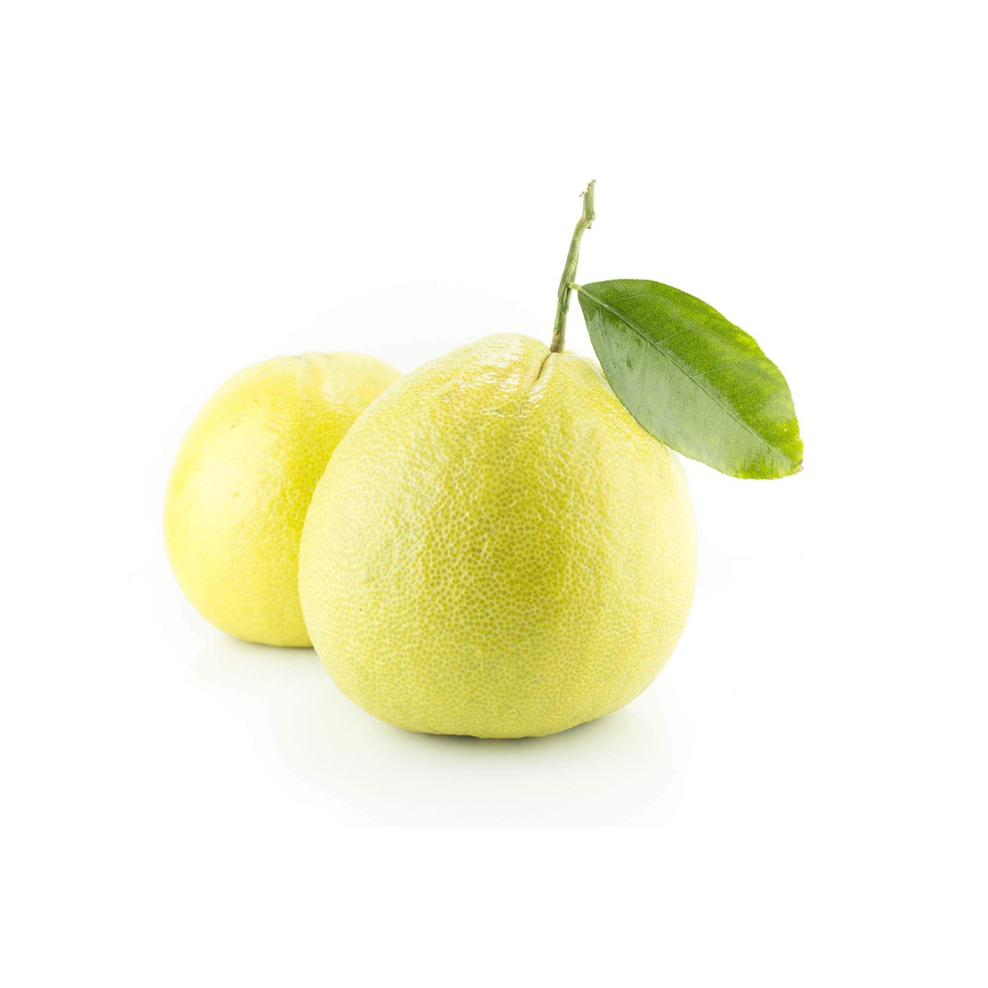 BERGAMOT