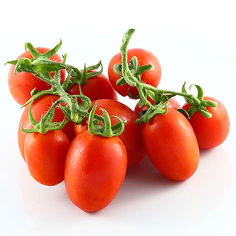 TOMATO PICCADILLY