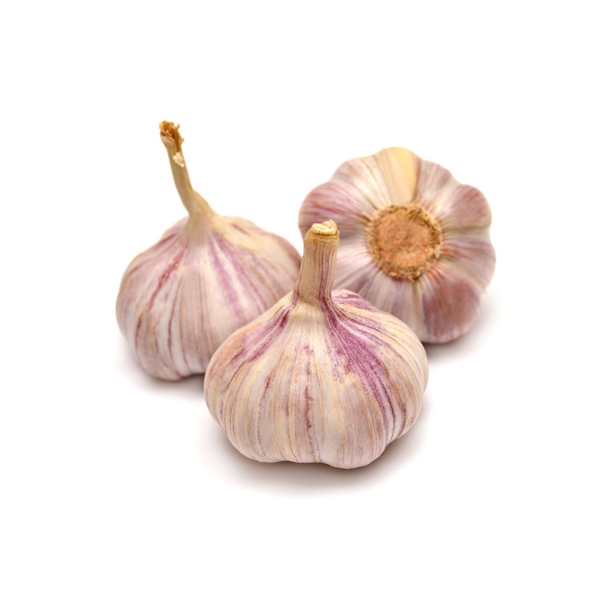 GARLIC PINK