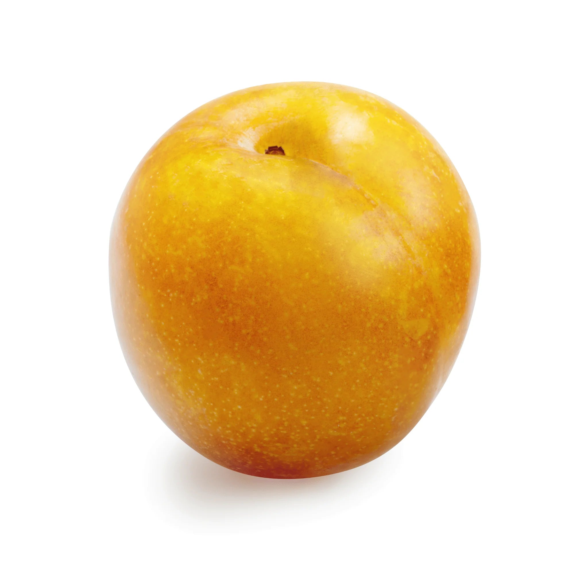 PLUM OCTOBER YELLOW