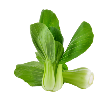 PAK CHOI