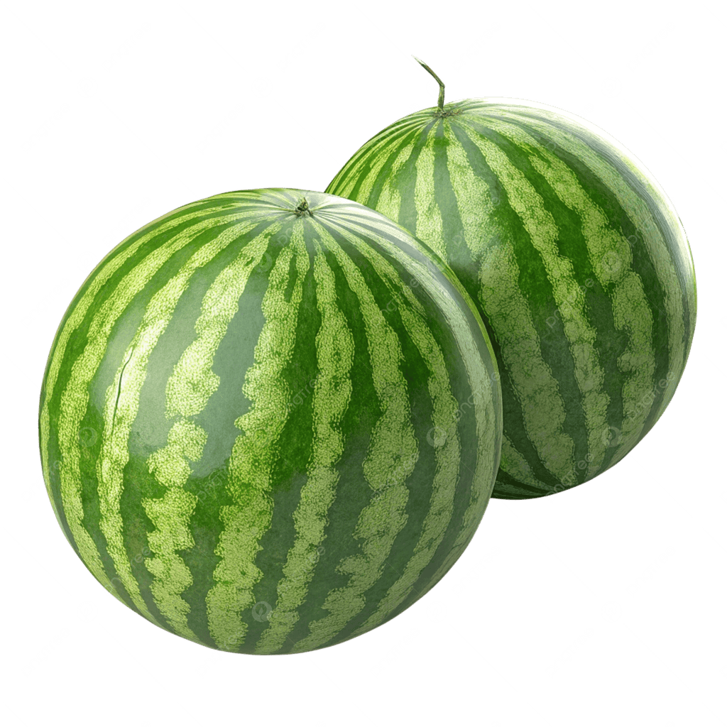 WATERMELON BOX X 2
