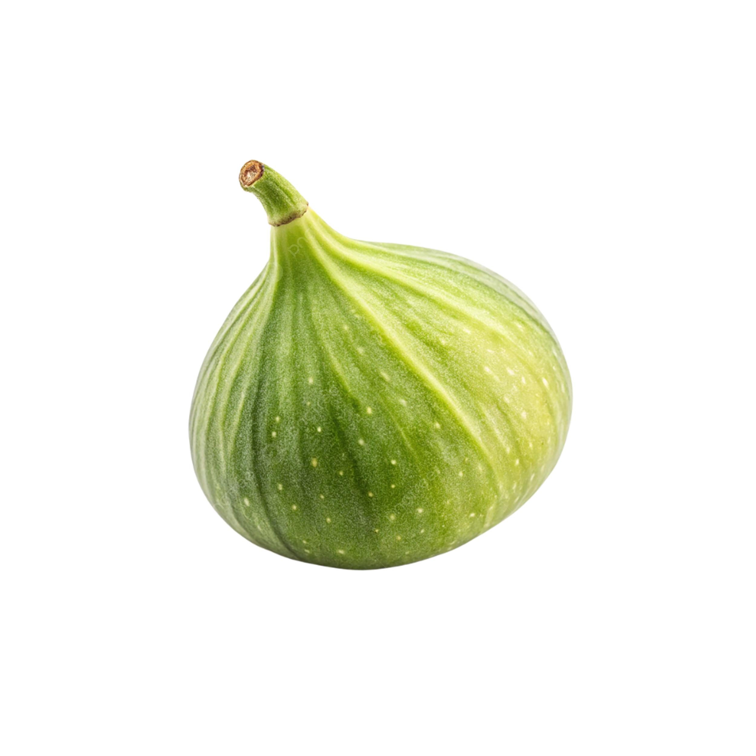 FIGS GREEN
