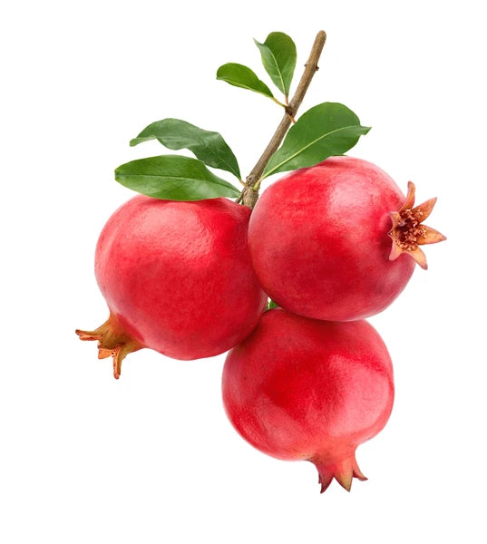 POMEGRANATE 8 PCS