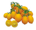 TOMATO PIENNOLO YELLOW