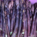 ASPARAGUS WILD BUNCHES PURPLE