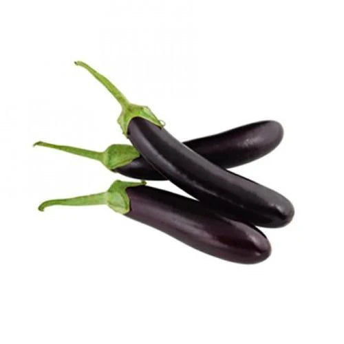 AUBERGINE BLACK LONG