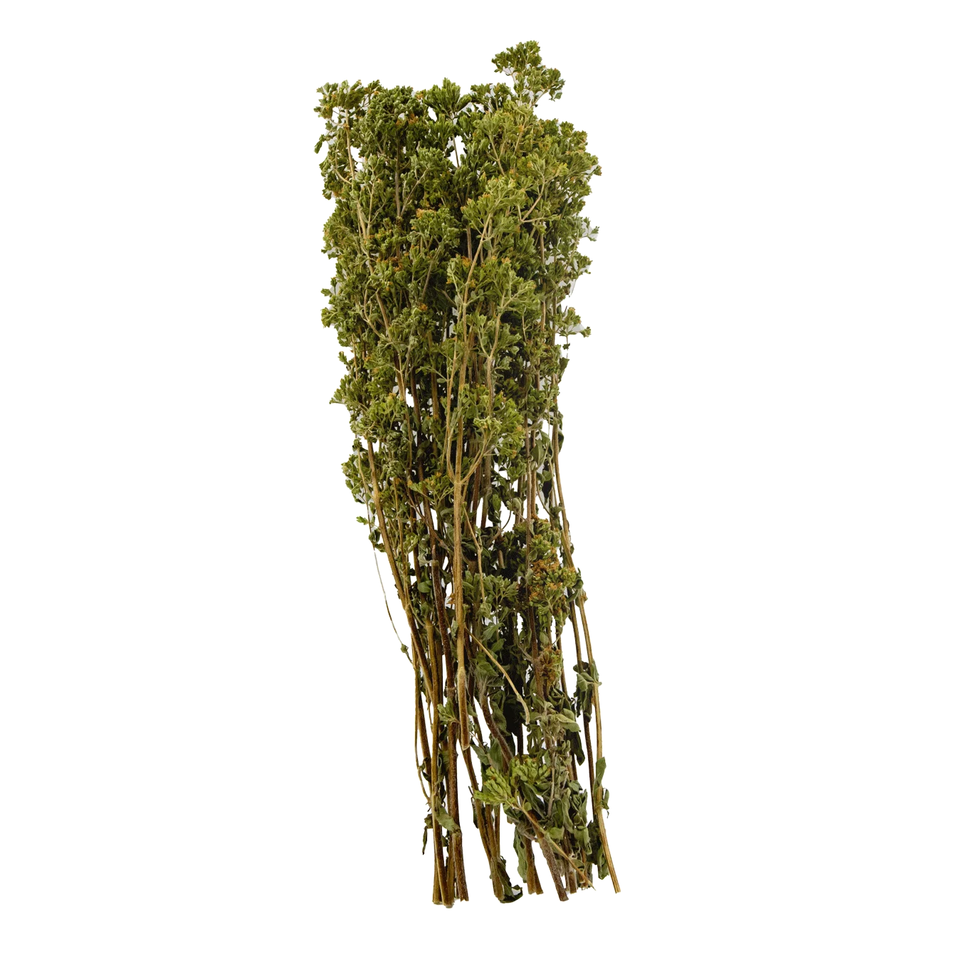 OREGANO BUNCH DRY