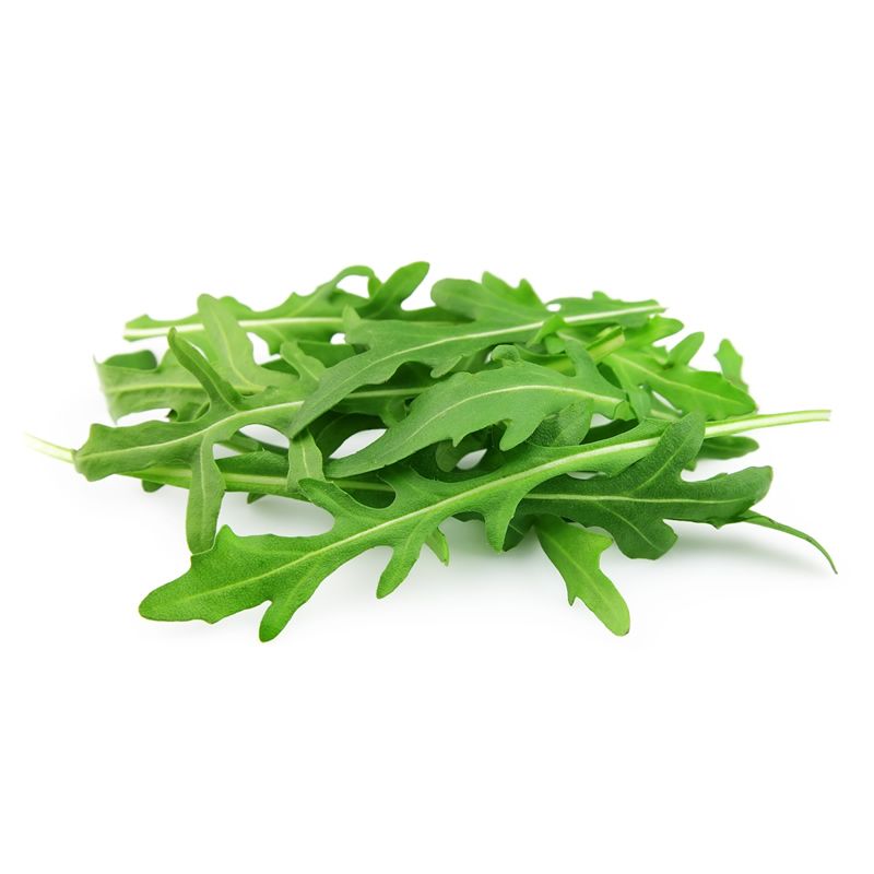 ROCKET LARGE (DOMESTICA)