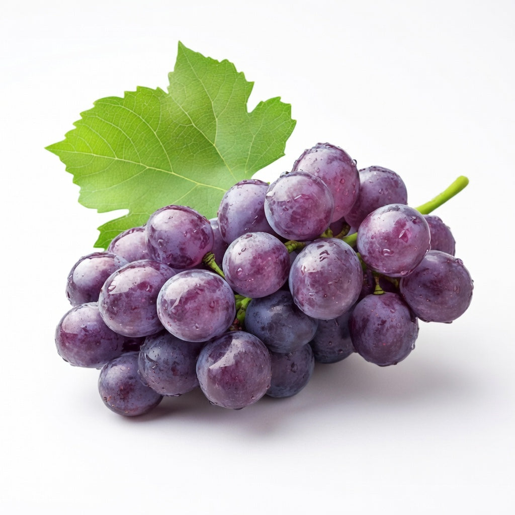 GRAPES BLACK SANGIOVESE