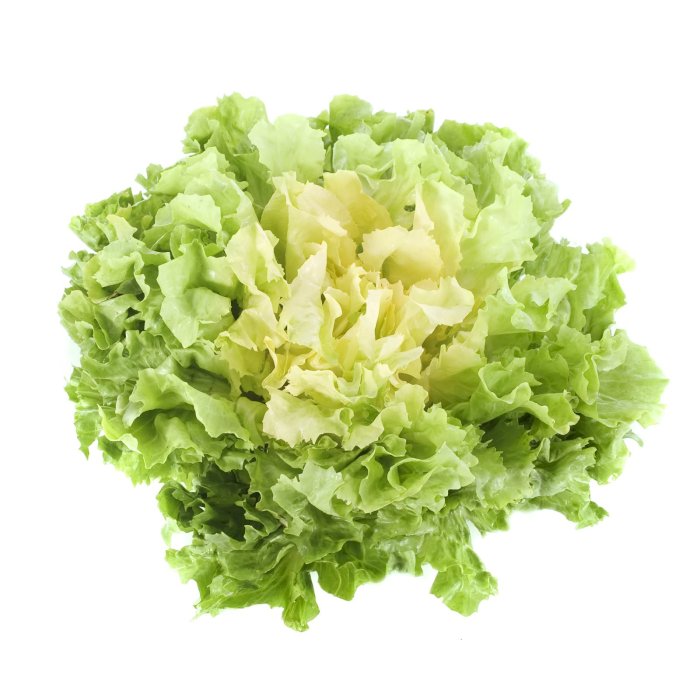 SALAD SCAROLA