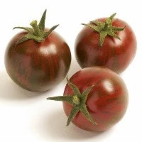 TOMATO CAMONE