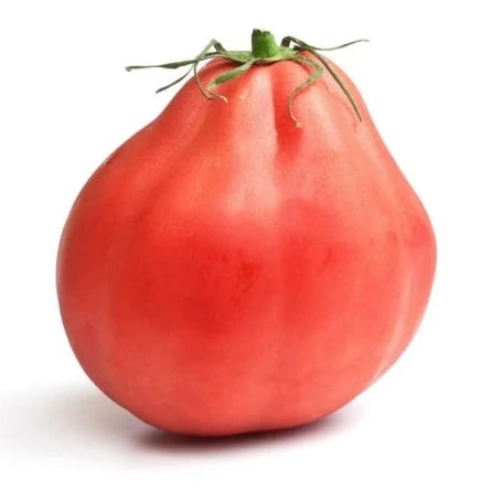 TOMATO OX HEART PINK