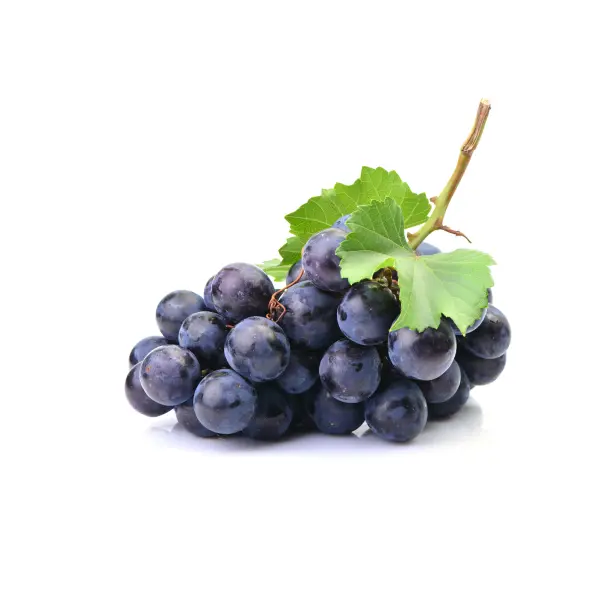 GRAPES BLACK MAGIC