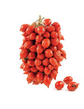 TOMATO PIENNOLO MIX