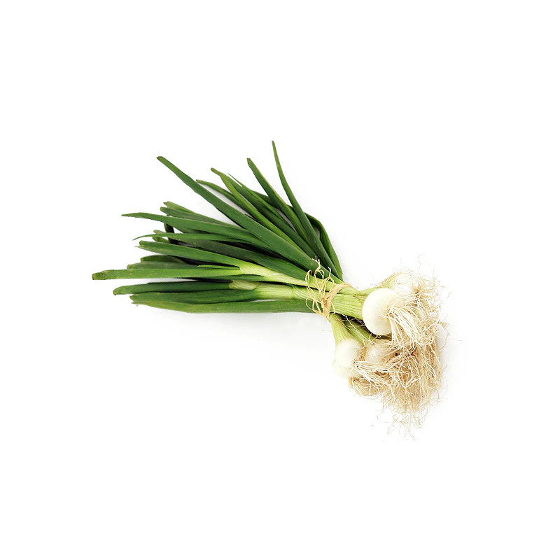 ONION GRELOT BUNCHES