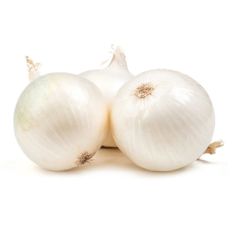 ONION WHITE 80/100