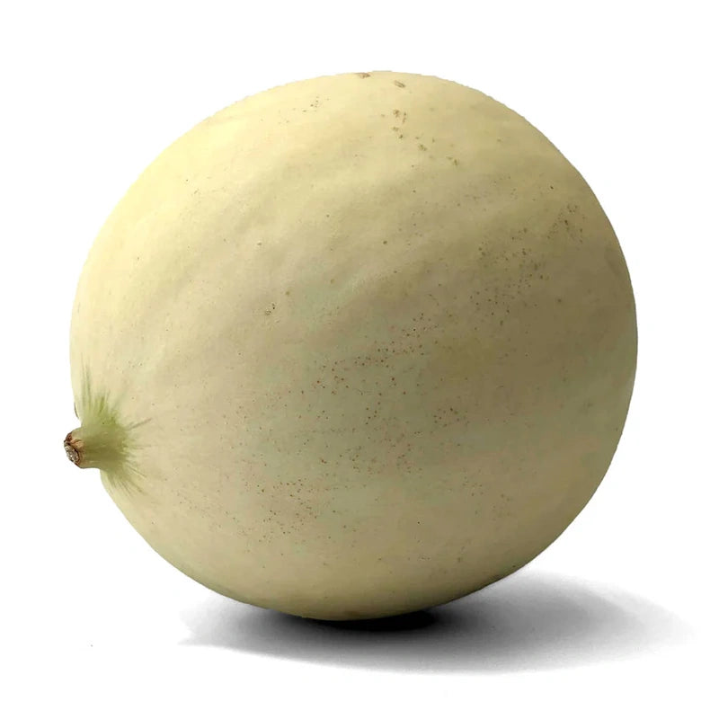 MELONS SMOOTH X 5